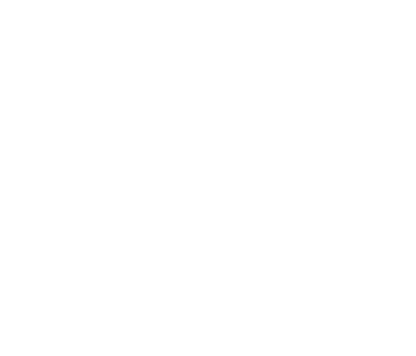 Amer S.p.A. | Italsea S.r.l. | NSM S.r.l. | SIR S.r.l. | Baumeister & Schack GmbH & Co. KG